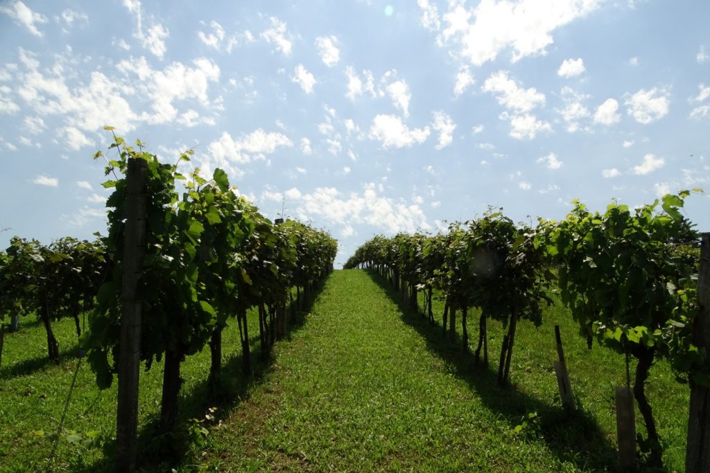 Südburgenland