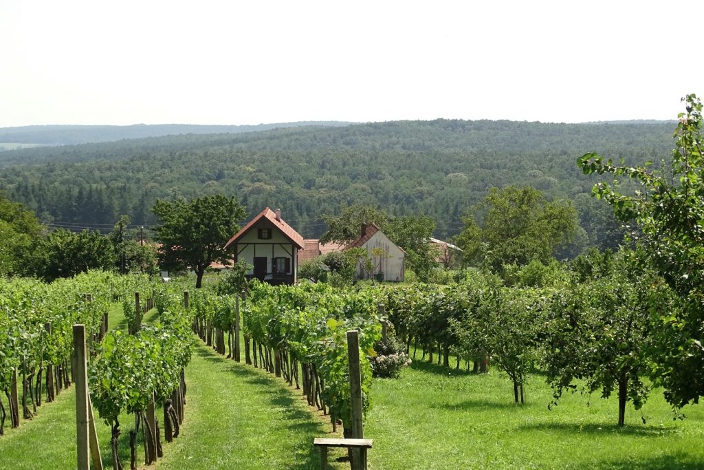 Südburgenland, Kellerstöckl